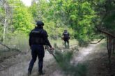 Тернопільські піротехніки очищають Харківщину від вибухонебезпечних предметів
